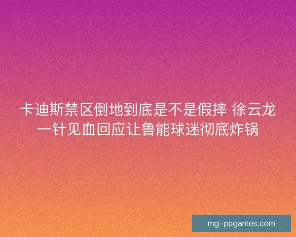 卡迪斯禁区倒地到底是不是假摔 徐云龙一针见血回应让鲁能球迷彻底炸锅 卡迪斯禁区倒地到底是不是假摔 徐云龙一针见血回应让鲁能球迷彻底炸锅